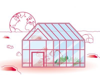 AstroCrops – Growing plants for future space missions