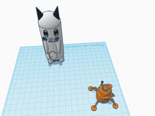 The cat team