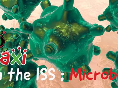 Paxi on the ISS – Microbes